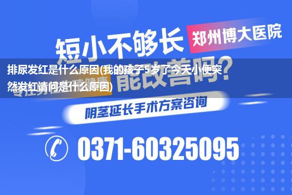 排尿发红是什么原因(我的孩子5岁了今天小便突然发红请问是什么原因)